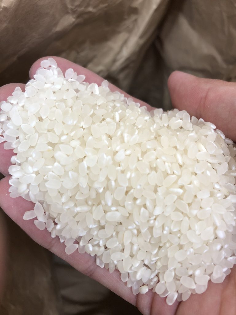 お米に黒い粒が…大丈夫？ | 田んぼより愛を込めて ー農家に学ぶ お米の豆知識100選ー