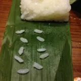 お米ひとつぶをタネにすると何粒になるか？