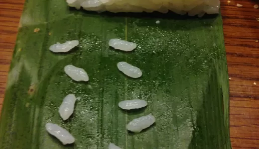お米ひとつぶをタネにすると何粒になるか？